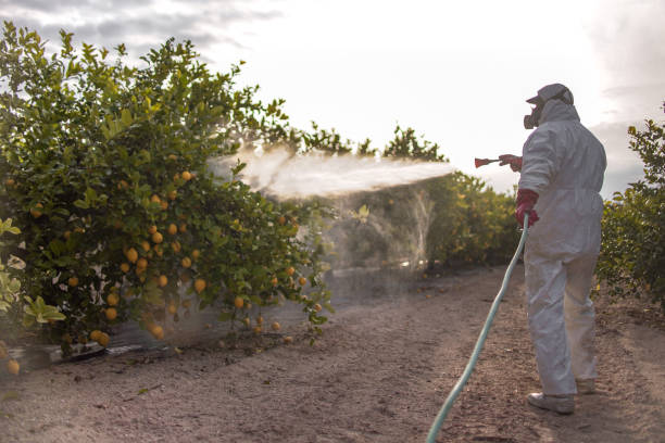 Best Cockroach Control Services  in Kadelphia, AR