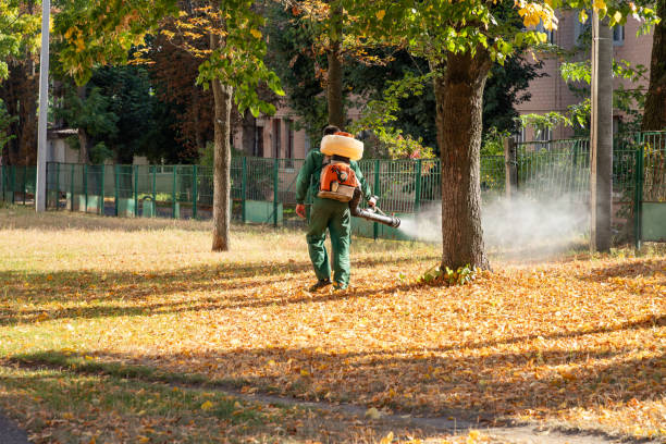 Wasp Removal Services in Arkadelphia, AR