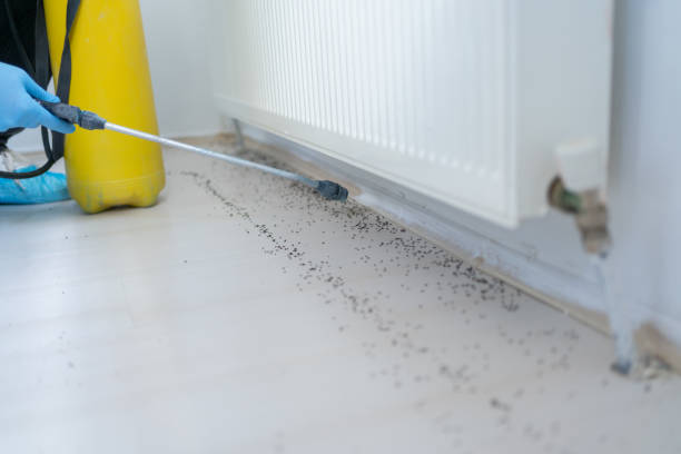 Best Best Pest Control Companies  in Kadelphia, AR